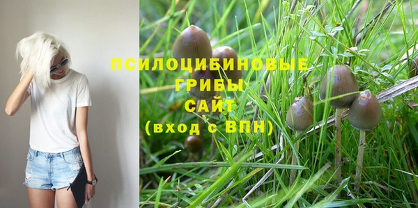 стафф Лагань