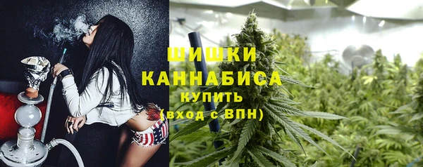 дживик Ладушкин
